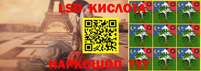 прущие грибы Ставрополь