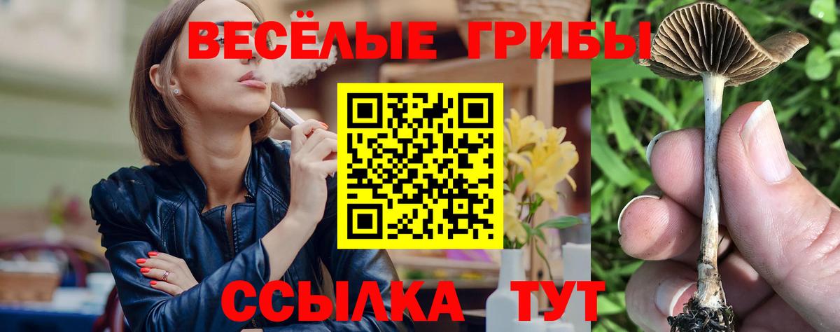 Батайск  Галлюциногенные грибы MAGIC MUSHROOMS  Вход с VPN 